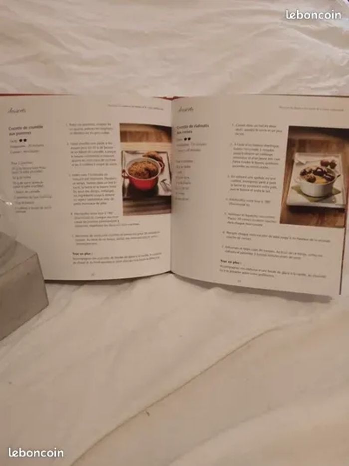 Livre de recettes Les cocottes - photo numéro 5