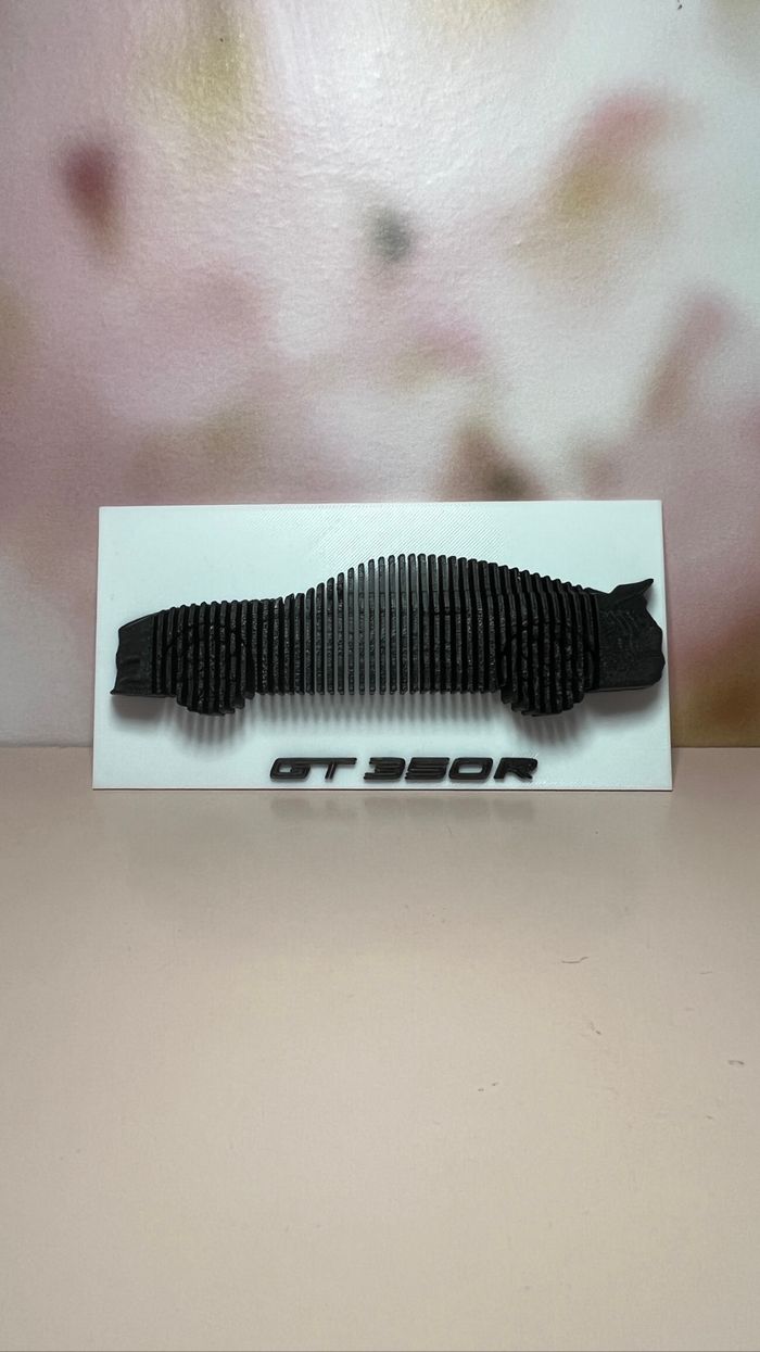 Sculpture mustang GT350R - photo numéro 2