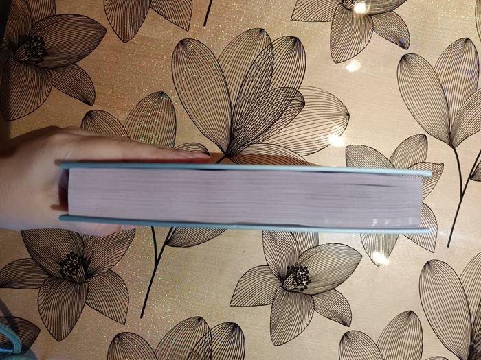 Juste un battement de ton cœur Collector - photo numéro 4