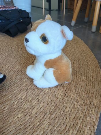 Chien peluche