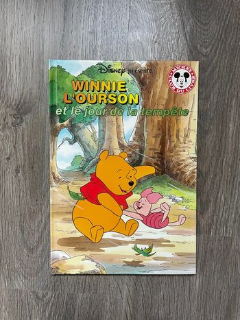 Winnie L’ourson et le jour de la tempête
