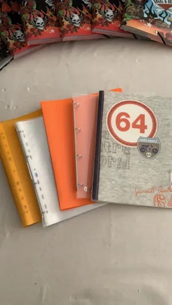 Lot de 5 classeurs avec ochettes en plastique