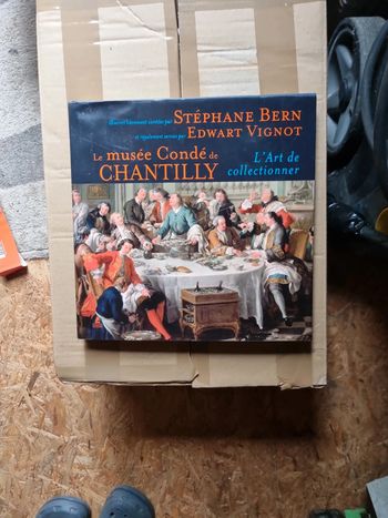 Livre le musée Condé de Chantilly