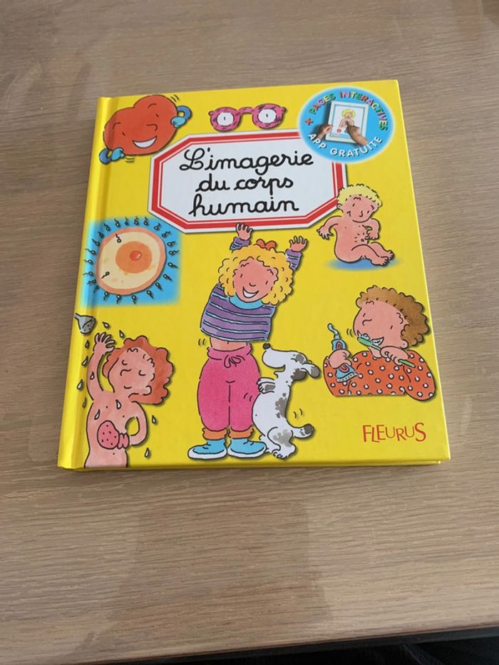 L’imagerie du corps humain + application