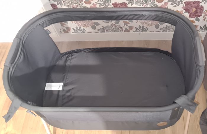 Cododo - photo numéro 3