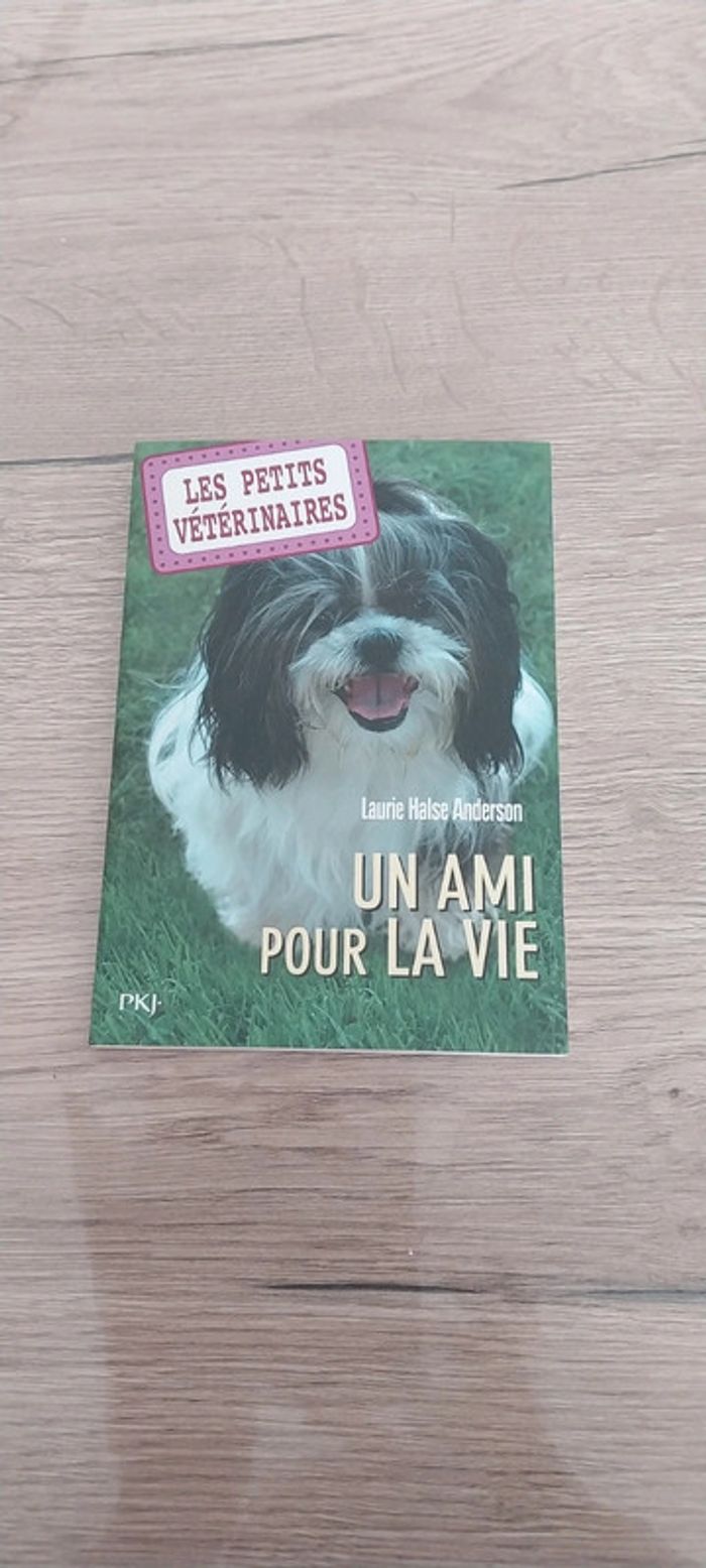un ami pour la vie