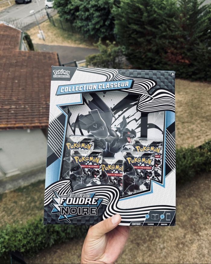 Lot de 2 classeurs ev10.5 pokémon - photo numéro 4
