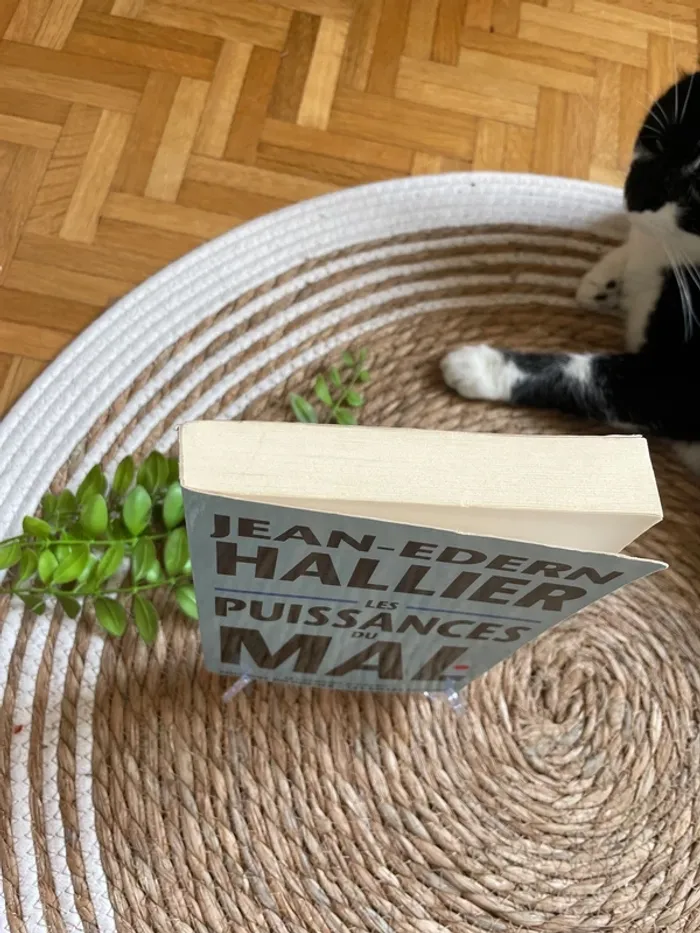 Livre - Les puissances du mal - photo numéro 2