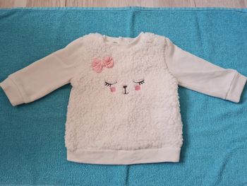 Pull 6mois pat et ripaton