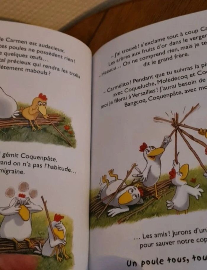 Livre enfant "un poule tous , tous poule un - photo numéro 3