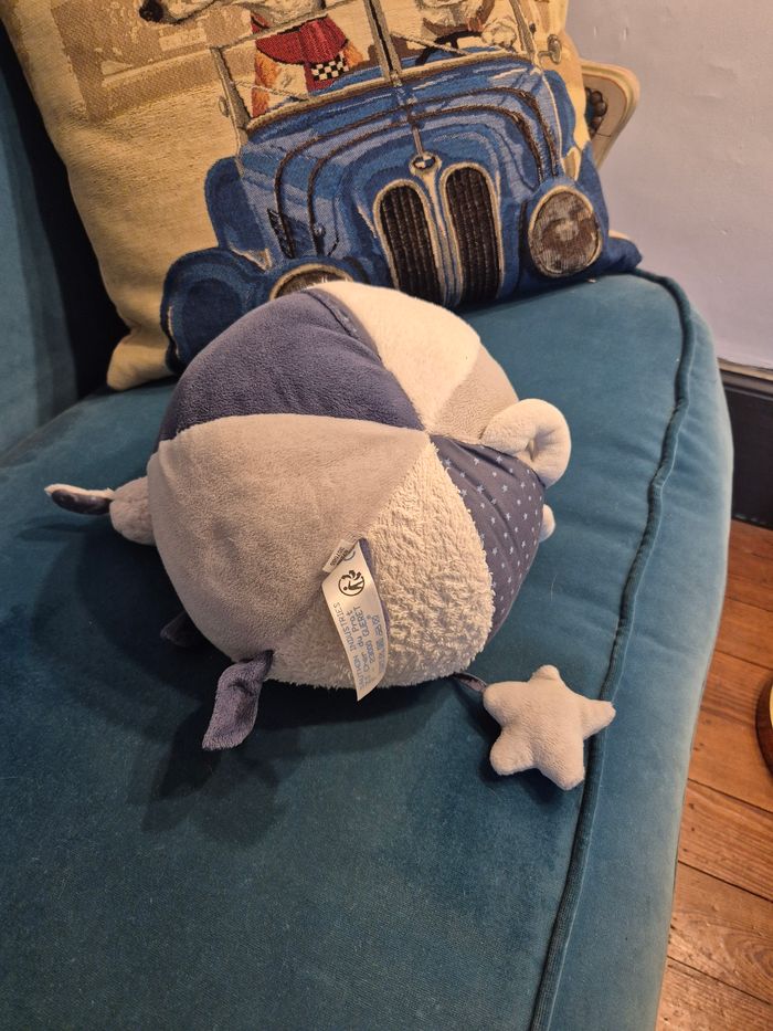 Balle d'activite Sauthon - photo numéro 2