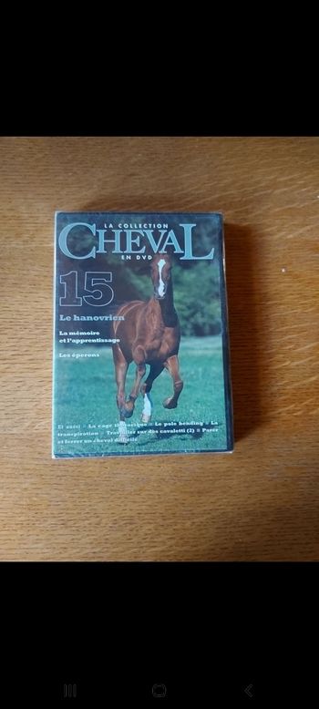 DVD