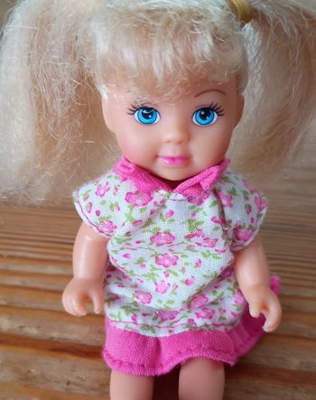 Poupée Evi Love et ses accessoires