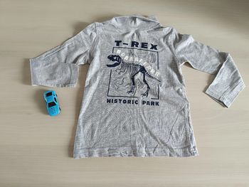 sous-pull dinosaure