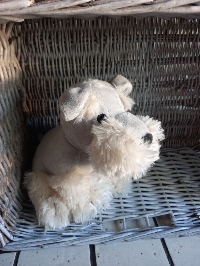 Chien en peluch - photo numéro 2