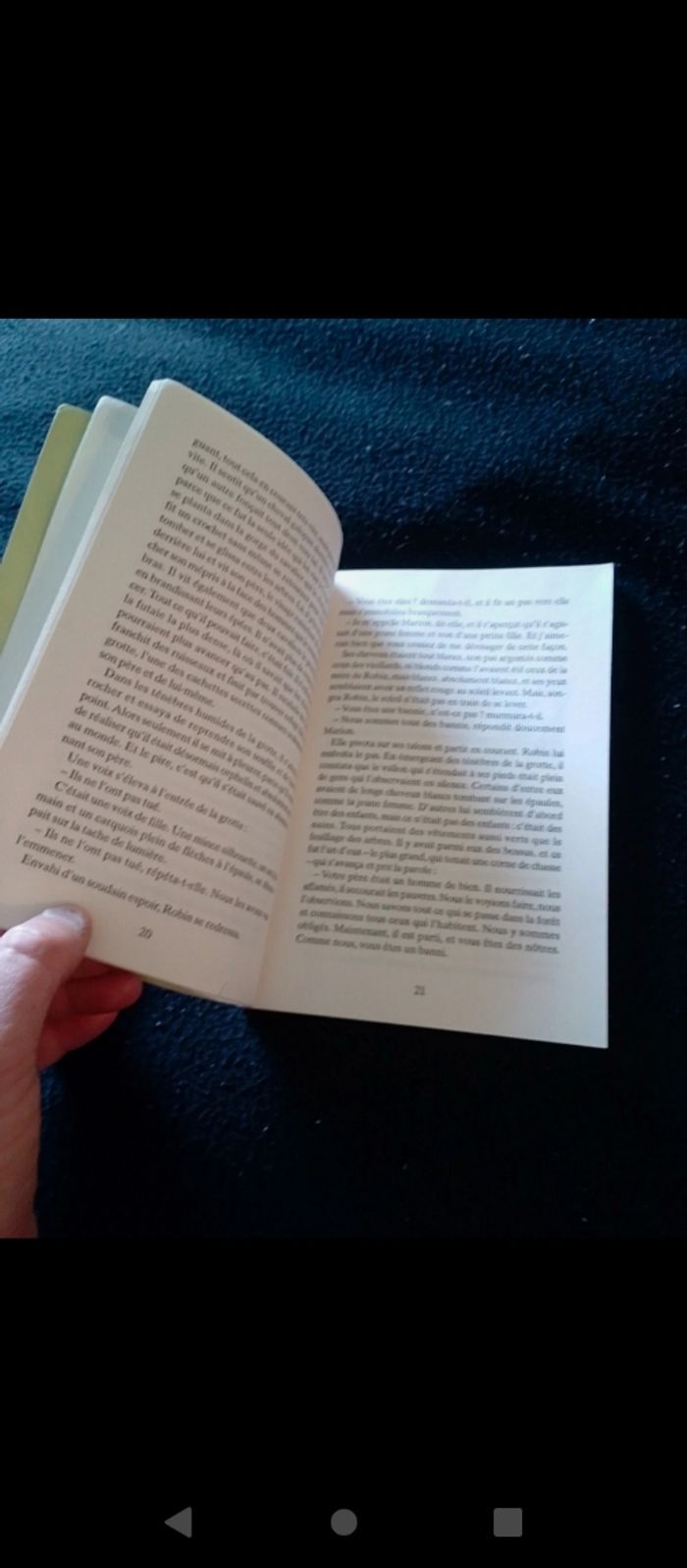 livre ROBIN DES BOIS " Folio Junior" - photo numéro 3