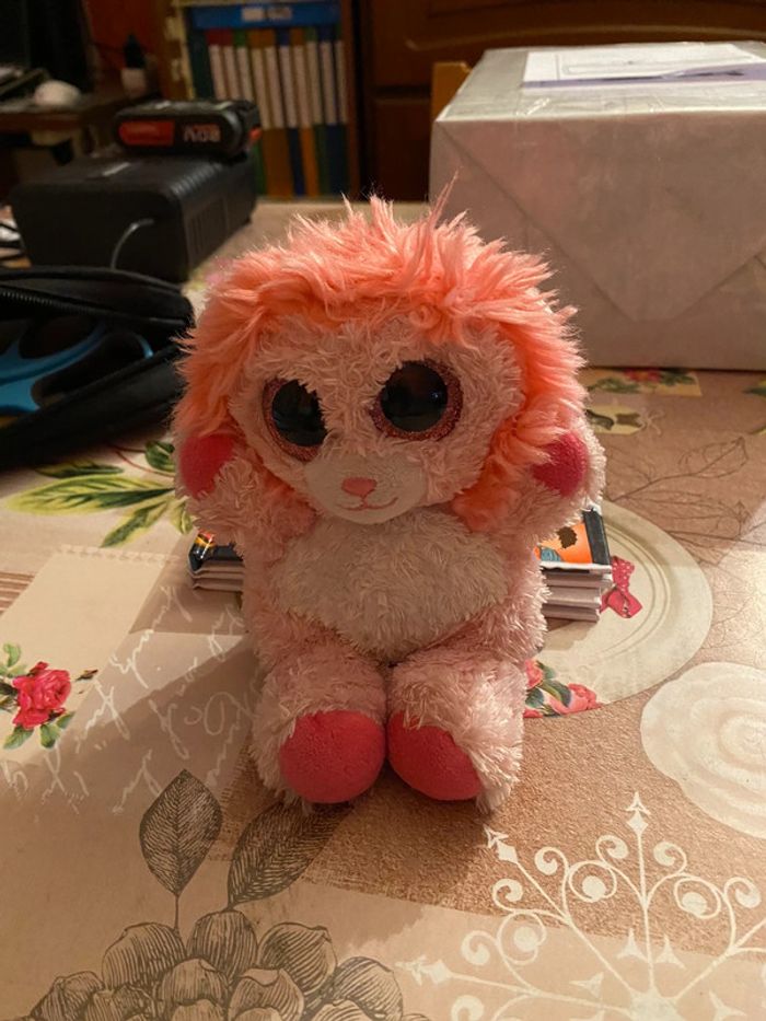 Brilloo pets rose