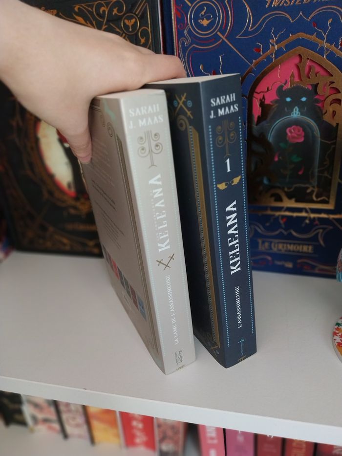 Romans Keleana tomes 0 et 1 La Lame de l'Assassineuse- Sarah J. Maas La Martinière - photo numéro 7