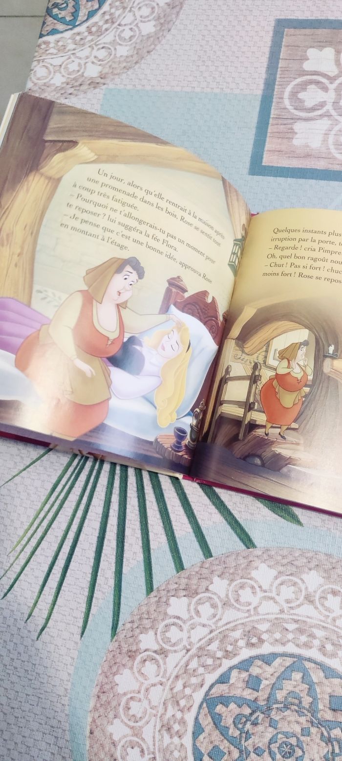 Livres Princesses - photo numéro 3
