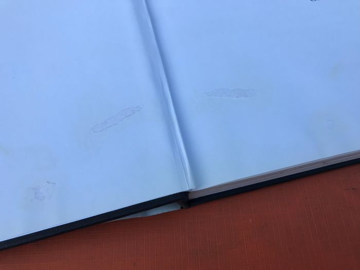 Liliane Dayot Maroc amnésie internationale Editions Paris-Méditerranée - photo numéro 3