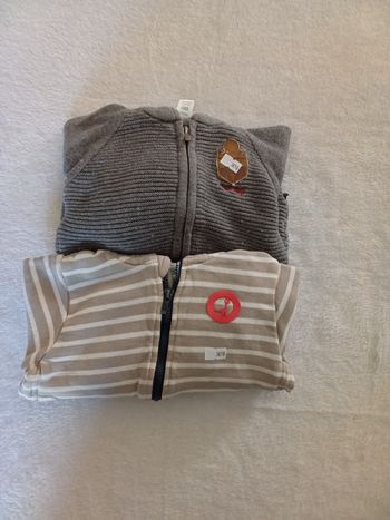 2 vestes à capuches