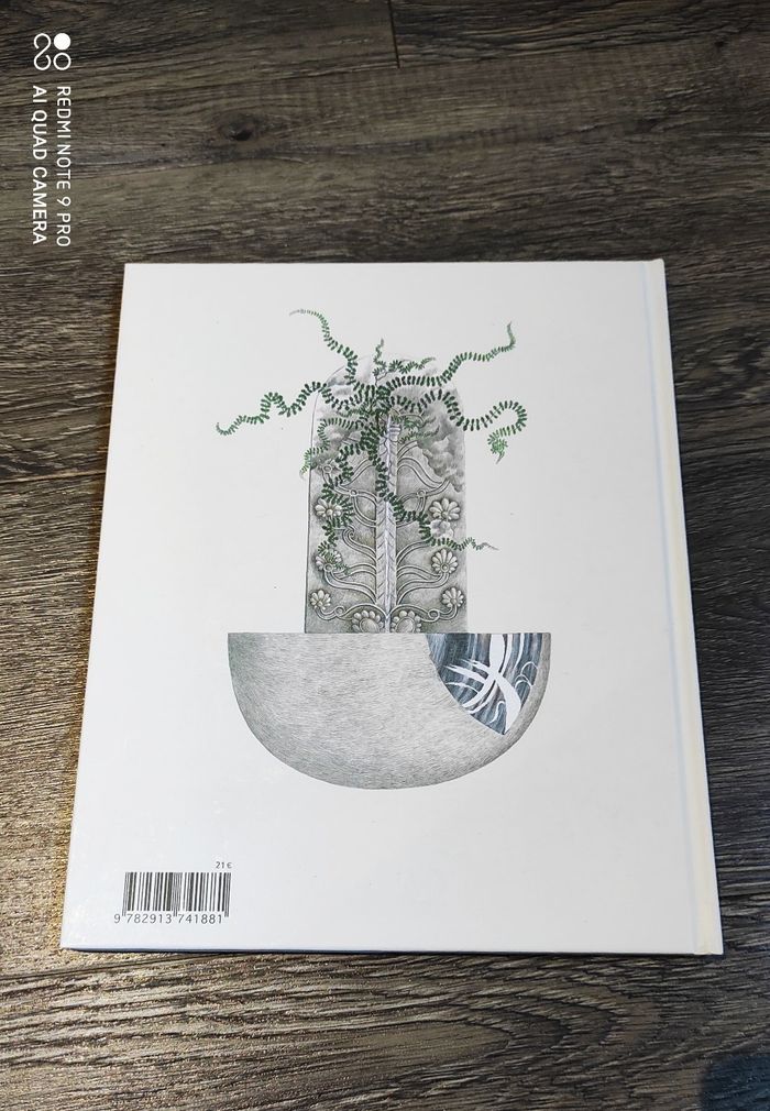 Le Silence des Pierres - photo numéro 2