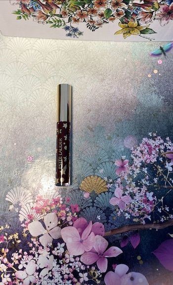 Estée Lauder – Rouge à lèvres brillant Edition limitée Divine Plum