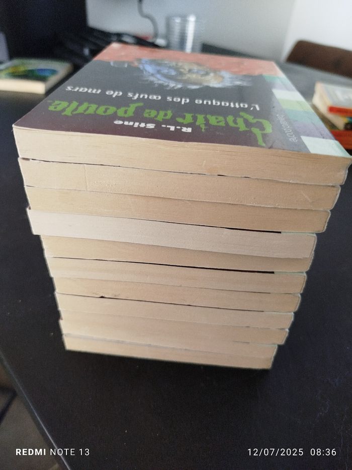 Lot 11 livres chair de poule - photo numéro 4