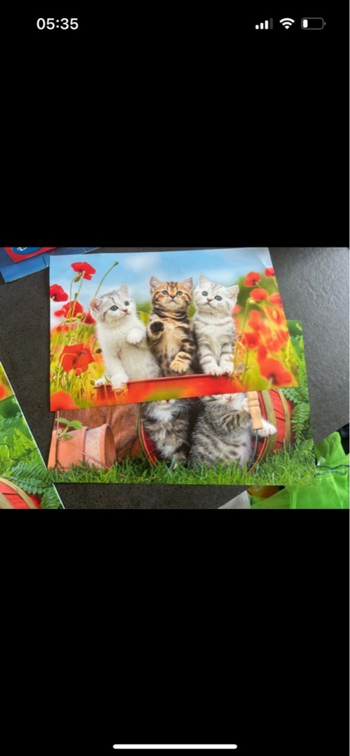 Puzzle chat 2X12 - photo numéro 3