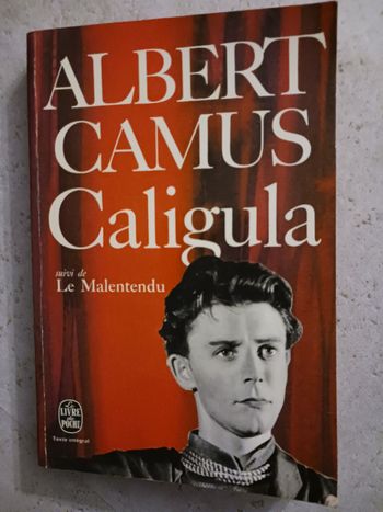 livre Le malentendu Albert Camus