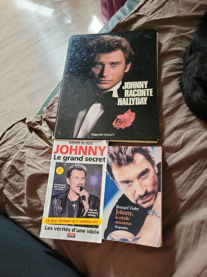 Lot 3 livres johnny hallyday