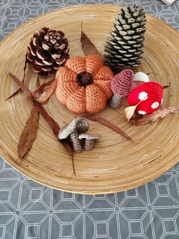 Decoration d'automne/ halloween 🎃