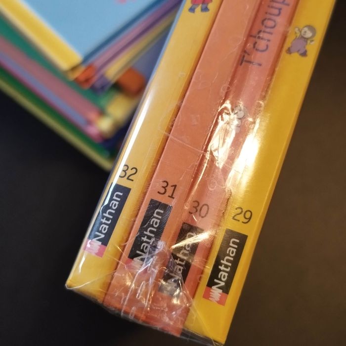 Lot de 4 Livres enfant Nathan T'choupi - photo numéro 3
