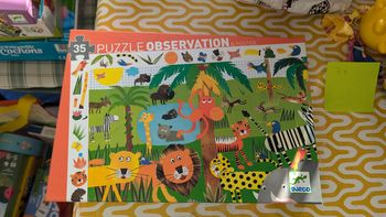 Puzzle d observation