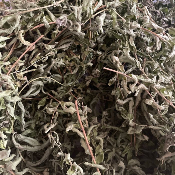 Verveine citronnée du sud non traitée pour infusion - photo numéro 2