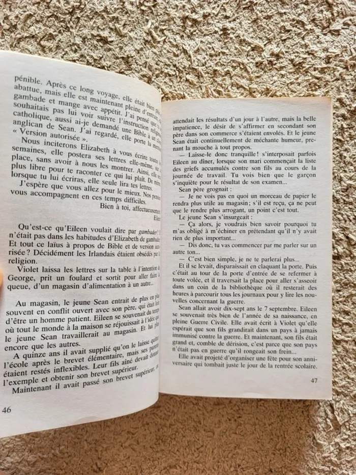 Livre "C'était pourtant l'été" de Maeve Binchy - Roman sentimental et familial - photo numéro 6