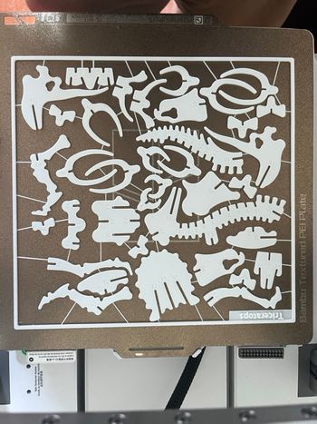 🦖 TRICÉRATOPS Puzzle 3D – Kit Card Dinosaure à assembler