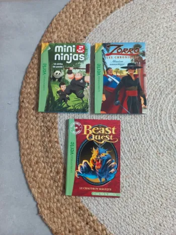📖 Lot 3 livres La Bibliothèque Verte