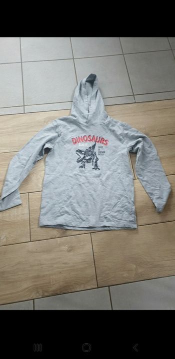T-shirt épais dinosaure 12/14 ans