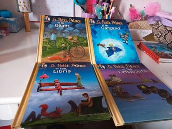 Livre le petit Prince