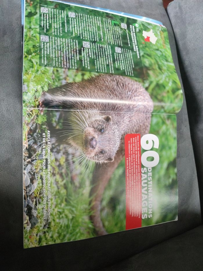 Magazine 30 millions d'amis numéro 386 été juillet août 2020 - photo numéro 4