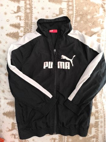 Veste Puma
