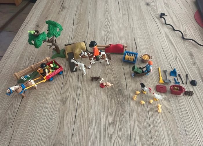 Lot - prix sur tous les éléments équitation - photo numéro 12