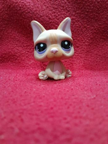 Figurine Petshop A20