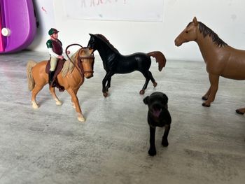 lot chevaux cavalier et chien miniatures jouet enfant