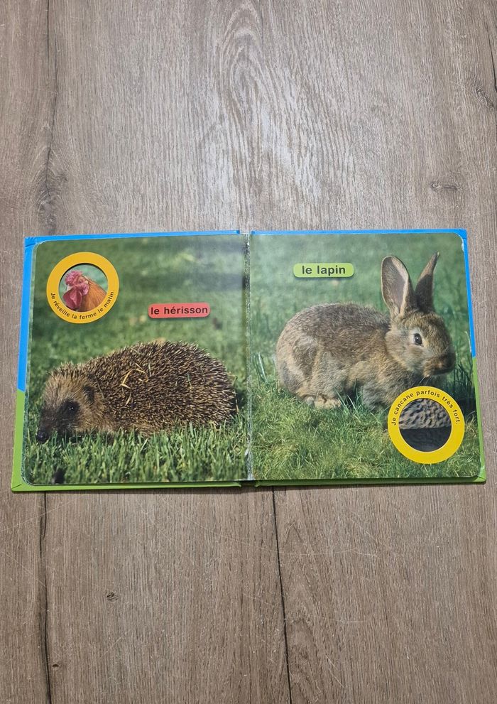 Livre Coucou la poule - photo numéro 3