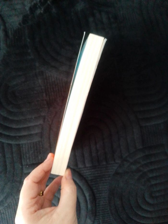 Journal d'un dégonflé les aventures d'un copain formidable - photo numéro 4