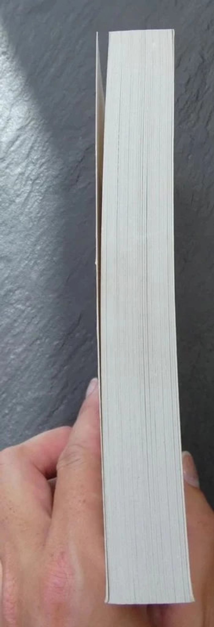 Livre "L'Odyssée" d'Homère neuf - photo numéro 2