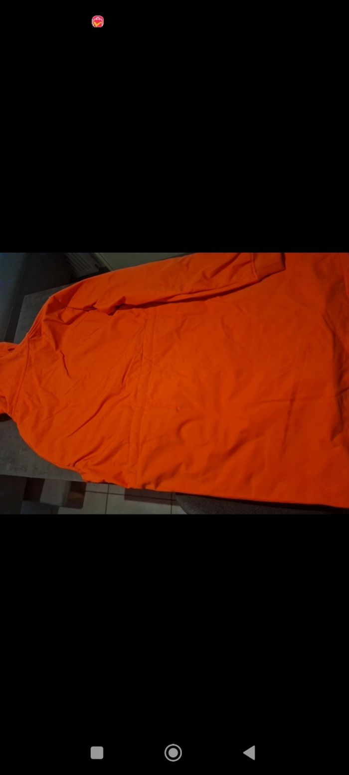 Veste - photo numéro 6