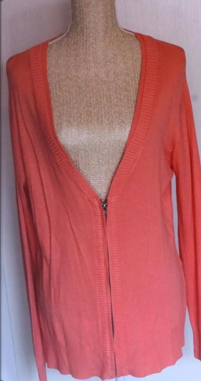 Veste légère - Orange – DPM - Taille 4